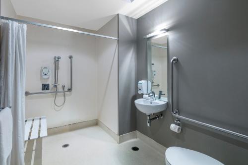 Nesuto Celestion - Photo 5 in Auckland, New Zealand