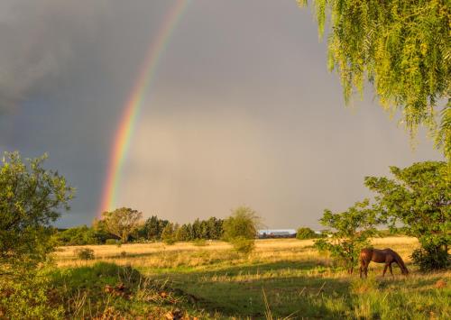 A Cherry Lane Self Catering and B&B