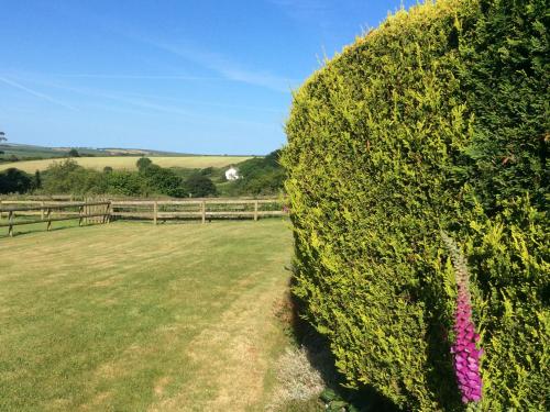 Cedar Cottage, Bideford