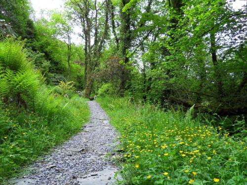 Kingfisher Whitland - image 6