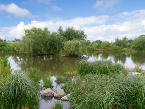 The Coach House in Stone