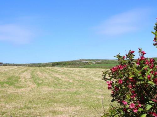 Carne Vue PENZANCE - image 6