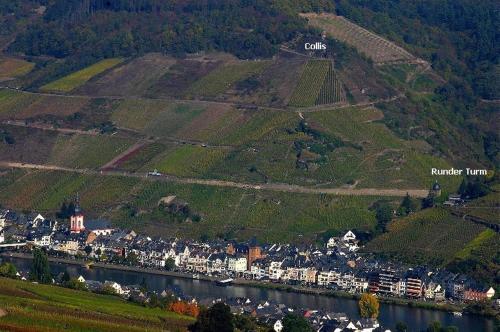 B&B Pension Winzerhaus Zell-Mosel