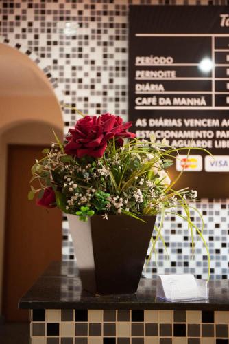 Hotel Jardim América ( Adults only), São Paulo (fotografie 10)
