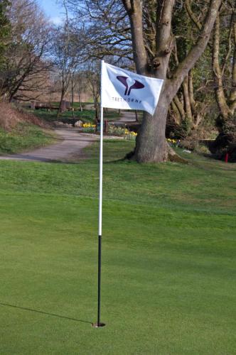 Trethorne Hotel & Golf Club