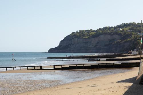 The Havelock - image 7