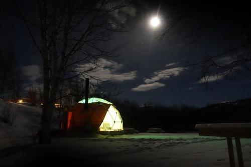 Wild Caribou Dome - image 14