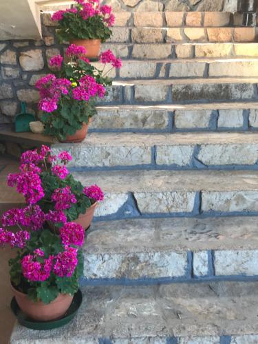  Guest House Enzo in Ičići