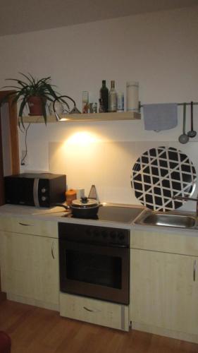 Wohnung in Haiding/Wels in Wallern an der Trattnach