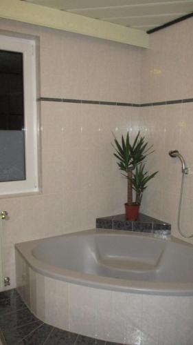 Wohnung in Haiding/Wels in Wallern an der Trattnach