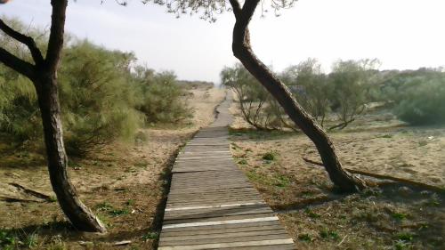 Camping Playa Taray - image 9