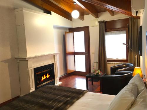 Superior Double Room with fireplace and Spa Access