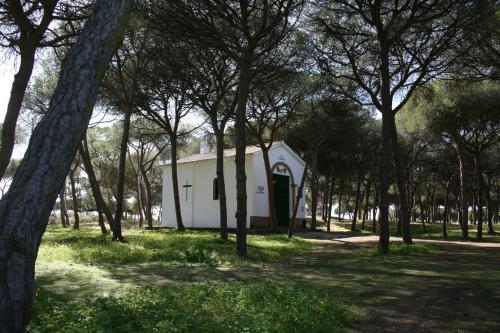 Camping Playa Taray - image 14