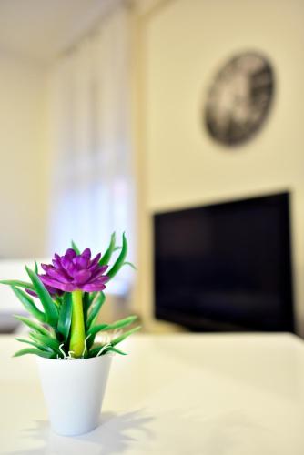 Apartment Schlosser