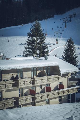 SKI IN & SKI OUT Hotel Sonnleiten