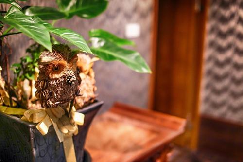 타이베이 카이 쉬 호텔 (Cai She Hotel) 3성급 호텔 전망