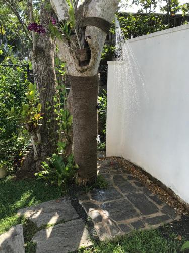 Jippie The Villa – Hikkaduwa, CO