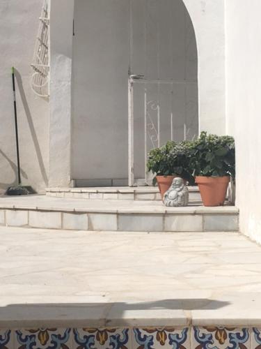 Casa Panoramica