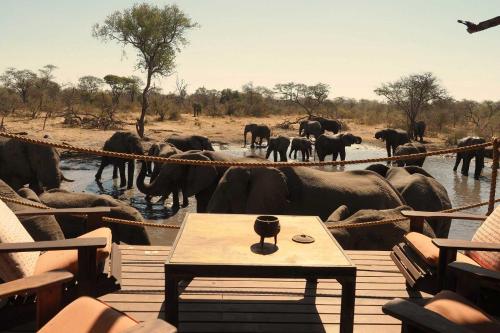 South Okavango - Omogolo Hideaways