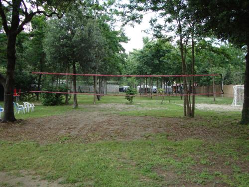 Camping Viareggio - image 14
