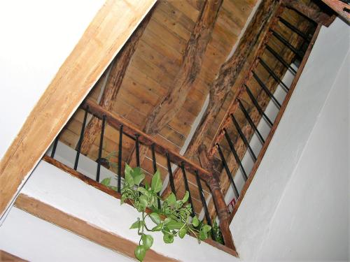 La Casona de Don Bruno