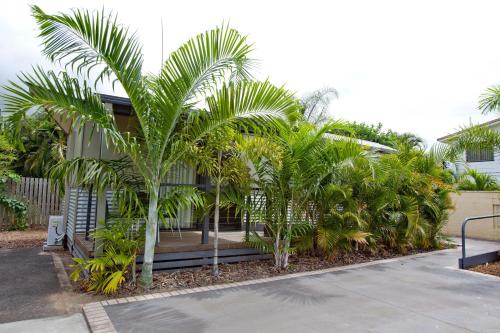 Discovery Parks Fraser Street, Hervey Bay 赫维湾弗雷泽街探索公园露营地图片