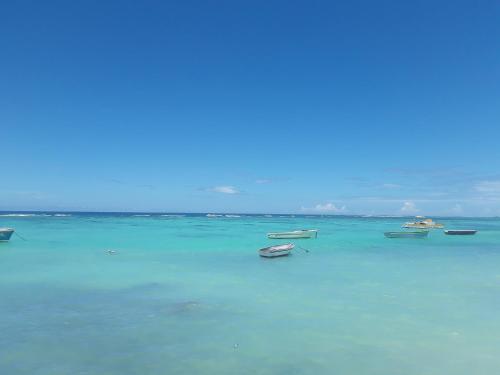 بيت ضيافة لا تونيل