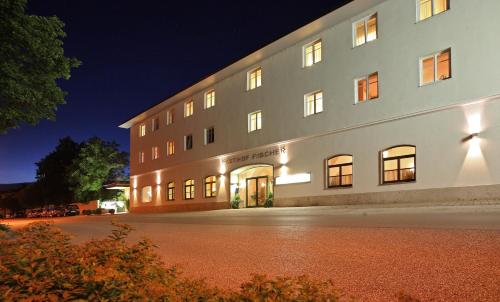 Hotel Gasthof Fischer - image 14