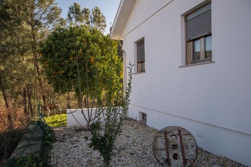  Casa do Penedo in Tangil