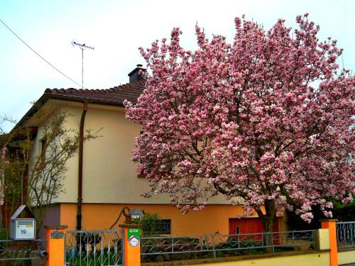 Gîte du Mondain gîte à louer Urschenheim