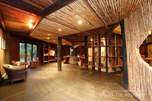 Tree House Hideaway
