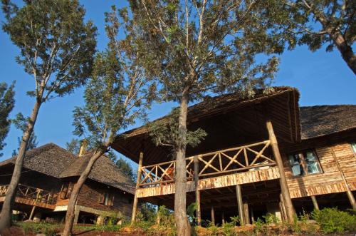 Neptune Ngorongoro Luxury Lodge - All Inclusive