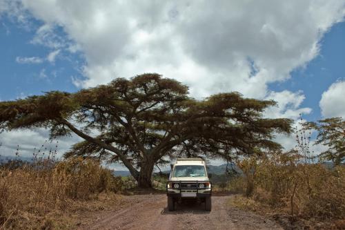 Neptune Ngorongoro Luxury Lodge - All Inclusive