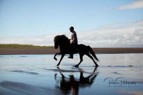 Strand, Vikingcafe in Hornafjordur