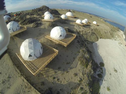 Kunza Kamanchacos in Punta De Choros
