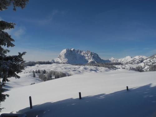 A környék, pure mountain BASE in Erpfenfalu