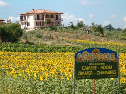  B&B Il Girasole in Montepulciano