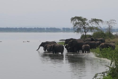 Aktivitātes, Uganda Lodge in Rukungiri