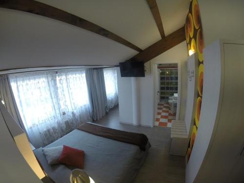 B&B Seventy Design - image 5