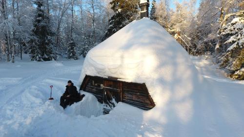 Filipsborg the Arctic Mansion - image 2