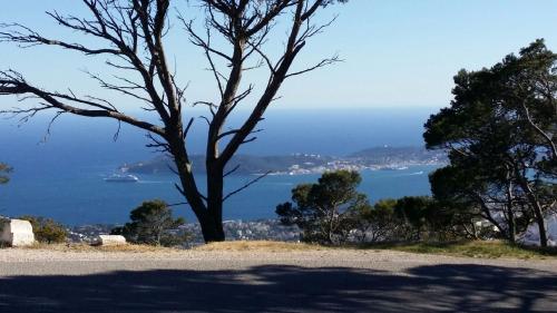 Le coteau del aime - Location saisonnière - Toulon