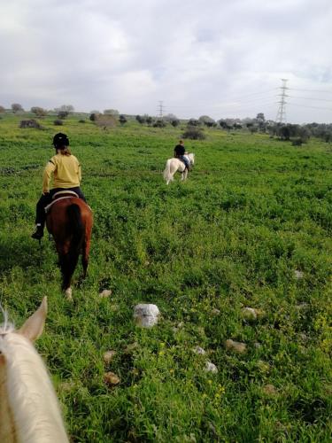 Galilee Bedouin Camplodge