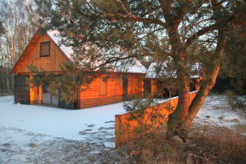 Winnica Dębogóra - Accommodation - Dobiegniew