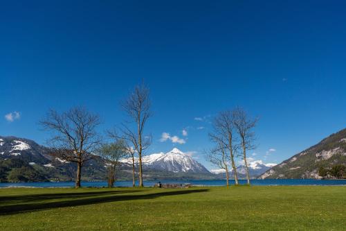 Neuhaus Golf- & Strandhotel - image 5