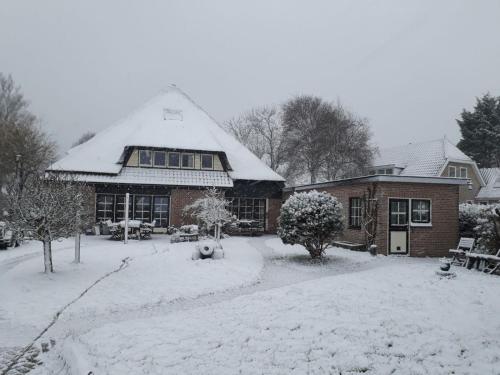 Le-Clochard - image 7