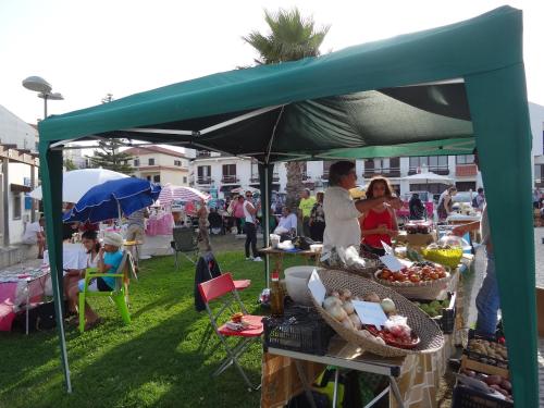  The best view Areia Branca in Lourinhã