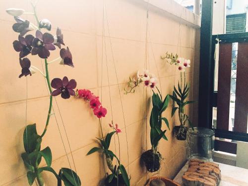 Stay Hostel – Bangkok, NY