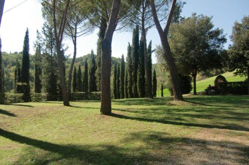 La viola in Bomarzo