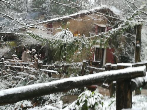 Centro Trekking A Cavallo Monte Brugiana