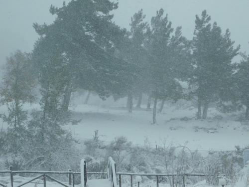  Archontariki Guesthouse in Poligiros